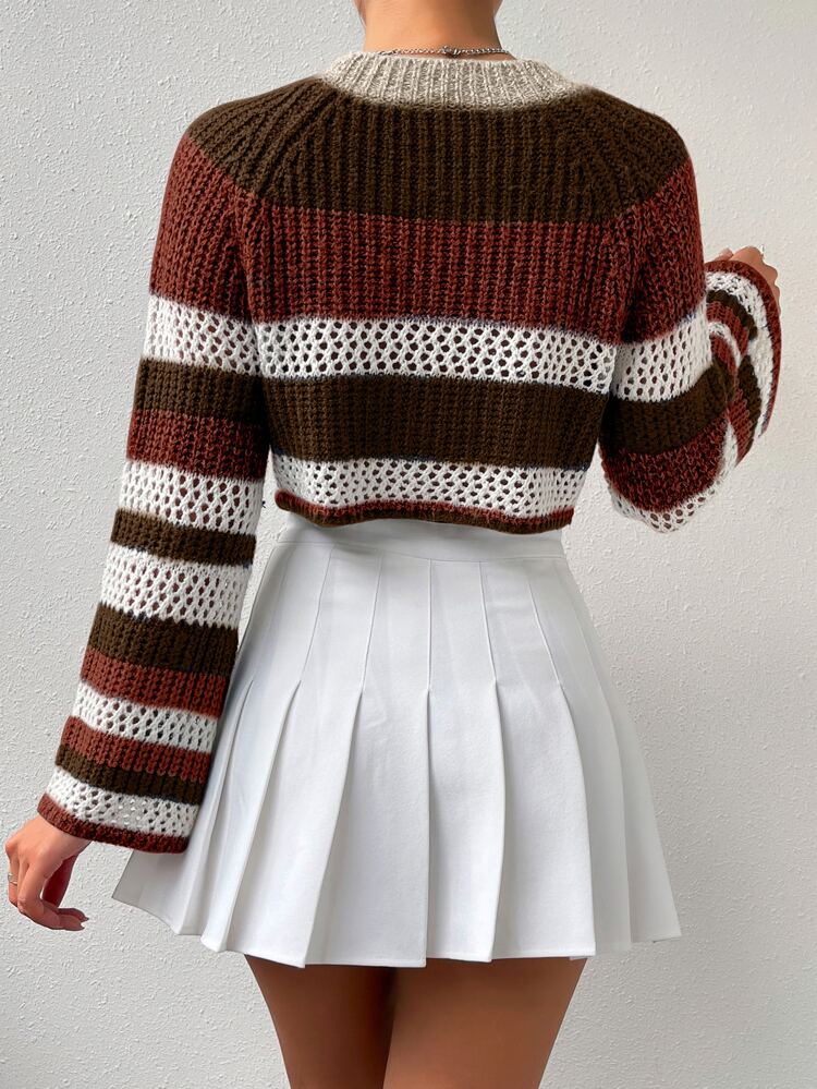 Colorblock Raglan Sleeve Pointelle Knit Crop Sweater Knit Pullover Fall Winter