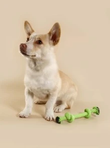 1 件随机颜色绳玩具，适合猫/狗爱好者的礼物和狗/猫妈妈喜欢的宠物狗爱好者和狗妈妈喜欢，糖果色，双结设计用于牙齿清洁和磨牙 - 彩色 - 查看 2