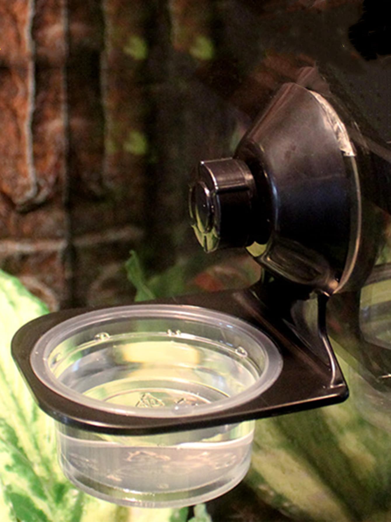 1pc Suction Cup Reptile Feeding Bowl - Black - View 1