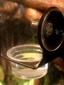 1pc Suction Cup Reptile Feeding Bowl - Black - View 5