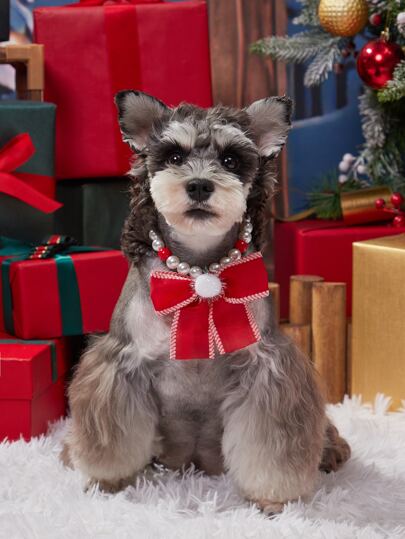 nicovaer قلادة بشريط أحمر كبير مزخرف بخرز كاذب للكلاب والقطط الصغيرة والمتوسطة الحجم ،ارتداء والهدايا