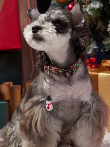 Christmas 1pc Random Cartoon Design Pet ID Tag - Multicolor - View 2