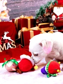 Christmas 1pc Random Santa Claus Design Pet Chew Toy - Multicolor - View 2