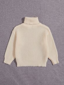 SHEIN Toddler Boys Turtleneck Ribbed Knit Drop Shoulder Jumper - Beige - View 2