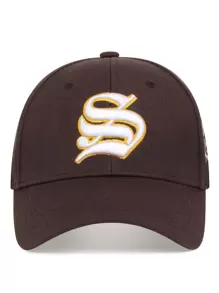 Men Tiger & Letter Embroidered Baseball Cap Street - Coffee Brown - View 4