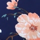 Màu xanh hải quân