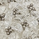 transparente