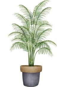 1入組植物印花牆貼 - 彩色 - 查看 2