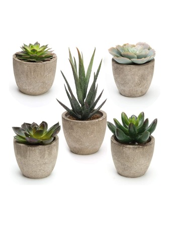 5pcs Artificial Potted Succulent, Small Fake Potted Plant For Home Decor, Valentine Day, Gift Gifts Birthday Graduation