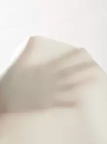 SHEIN Privé Áo sơ mi nữ màu trơn Thanh lịch - trắng - Xem 6