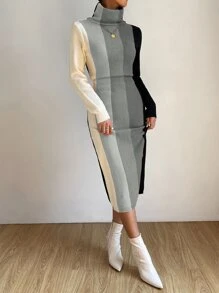 SHEIN Privé Vestido de punto de color combinado cuello alto - Multicolor - Ver 4