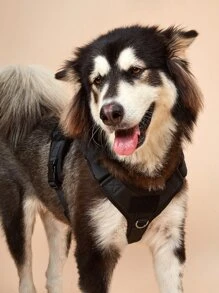 件透氣可調式寵物背帶戶外訓練適合中型、小型和大型犬 - 黑色 - 查看 5