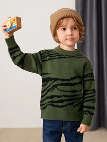 Toddler Boys Zebra Striped Pattern Jumper - Dark Green - View 4