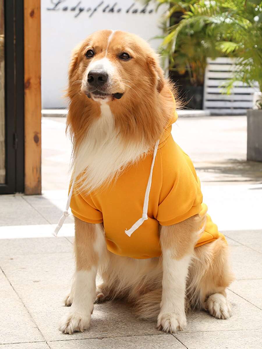 Zipper Detail Pet Hoodie - Yellow - View 1
