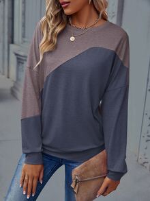 SHEIN LUNE Colorblock Drop Shoulder Sweatshirt - Multicolor - View 3