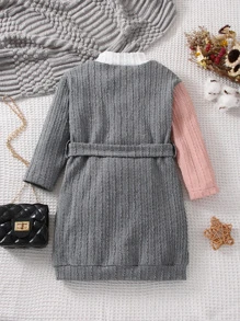 Toddler Girls Colourblock Belted Dress - Multicolor - View 2