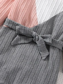 Toddler Girls Colourblock Belted Dress - Multicolor - View 3