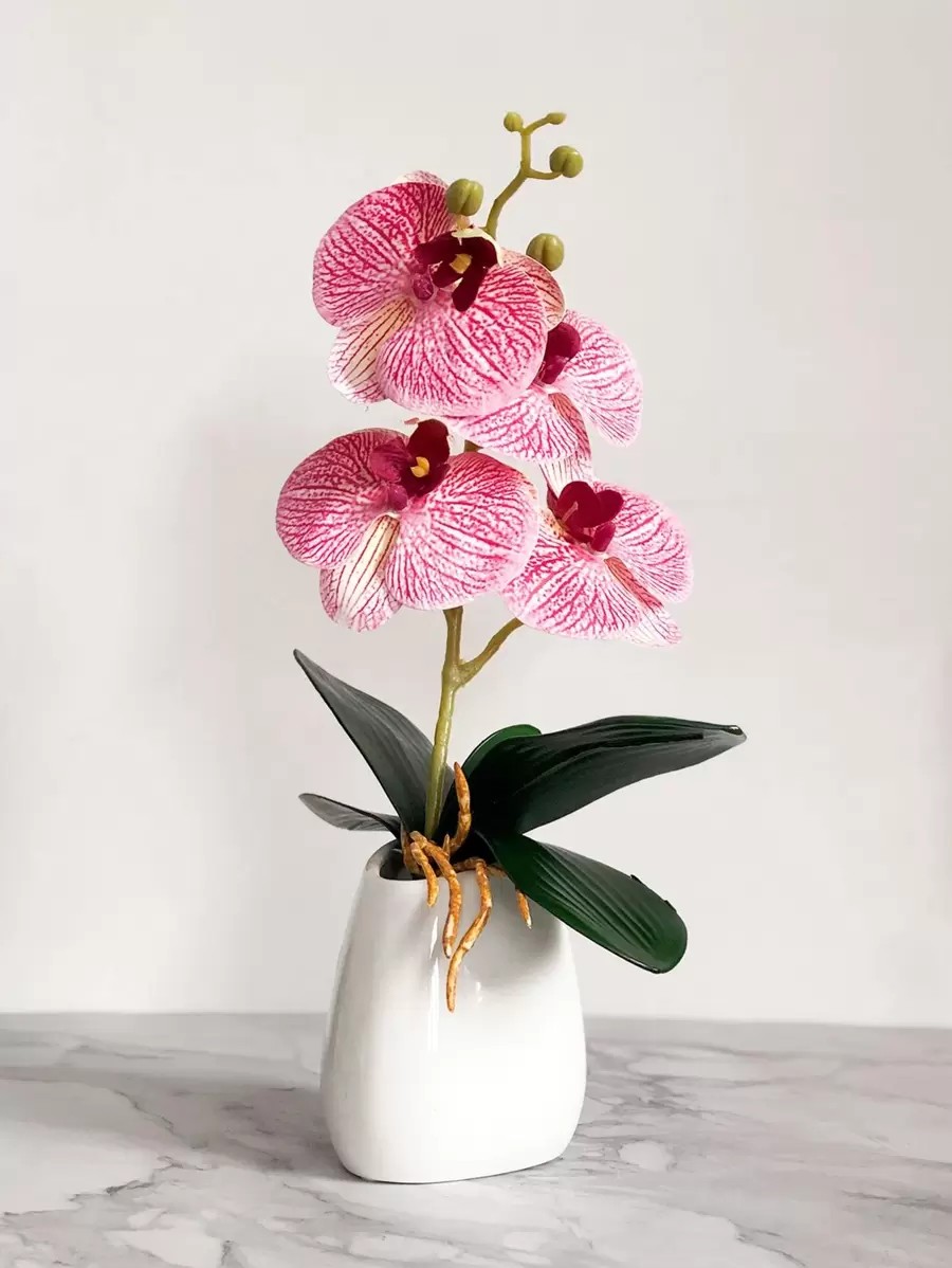 1pc Artificial Phalaenopsis, Faux Phalaenopsis Branch, Artificial Flower Stem, Vase Not Include - Multicolor - View 1