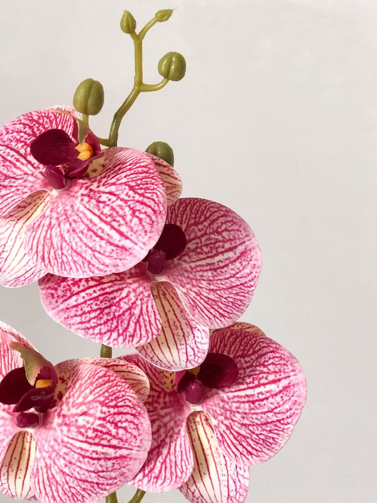 1pc Artificial Phalaenopsis, Faux Phalaenopsis Branch, Artificial Flower Stem, Vase Not Include - Multicolor - View 4