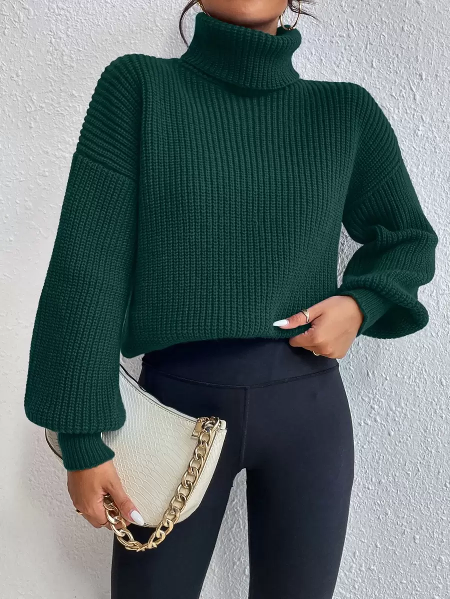 Celisse Rib-knit Turtleneck Drop Shoulder Jumper