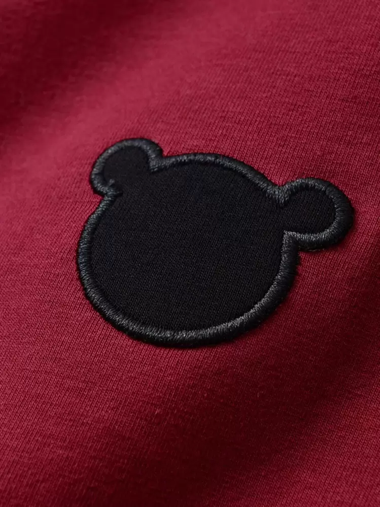 SHEIN Toddler Boys Color Block Bear Embroidered 3D Patched Hoodie & Sweatpants - Multicolor - View 7