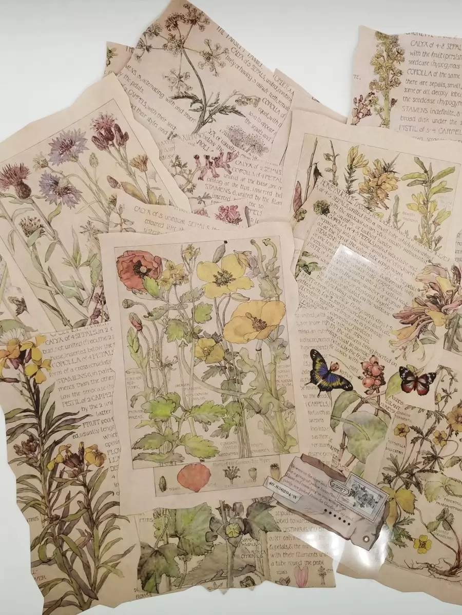 25入組花卉圖案材料紙 - 彩色 - 查看 1