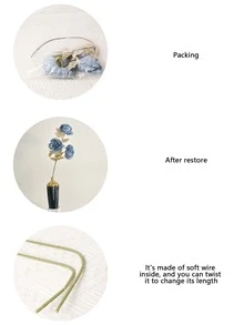 1 pieza 67 cm Flor artificial de peonía de seda, adecuada para decoración de escena de boda/decoración del hogar/decoración de fiesta de cumpleaños y vacaciones - Multicolor - Ver 3