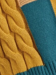 SHEIN Toddler Boys Colour Block Drop Shoulder Cable Knit Jumper - Multicolor - View 4