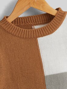 SHEIN Toddler Boys Colour Block Drop Shoulder Jumper - Multicolor - View 4