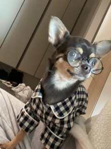 1pc Plaid Print Pet Pajama - Multicolor - View 3