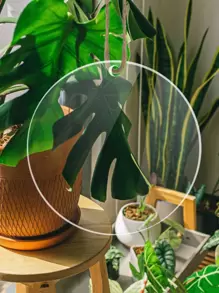 Dấu hiệu vườn tròn 1pc - Trong sáng - Xem 1