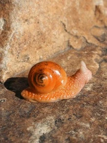1pc Snail Design Garden Decoration Craft - Multicolor - View 2