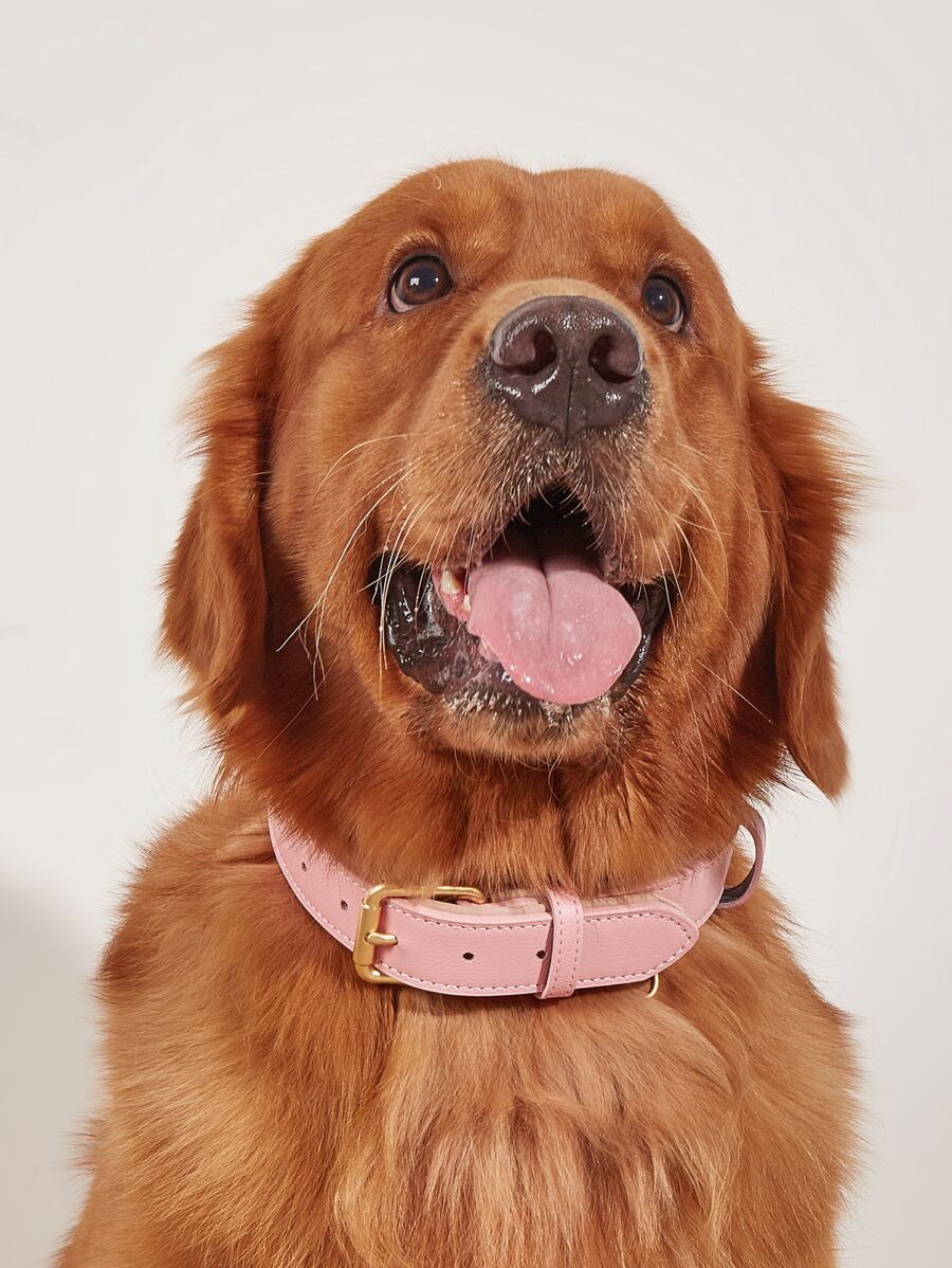 1入組荔枝印花寵物項圈 - 粉色 - 查看 1