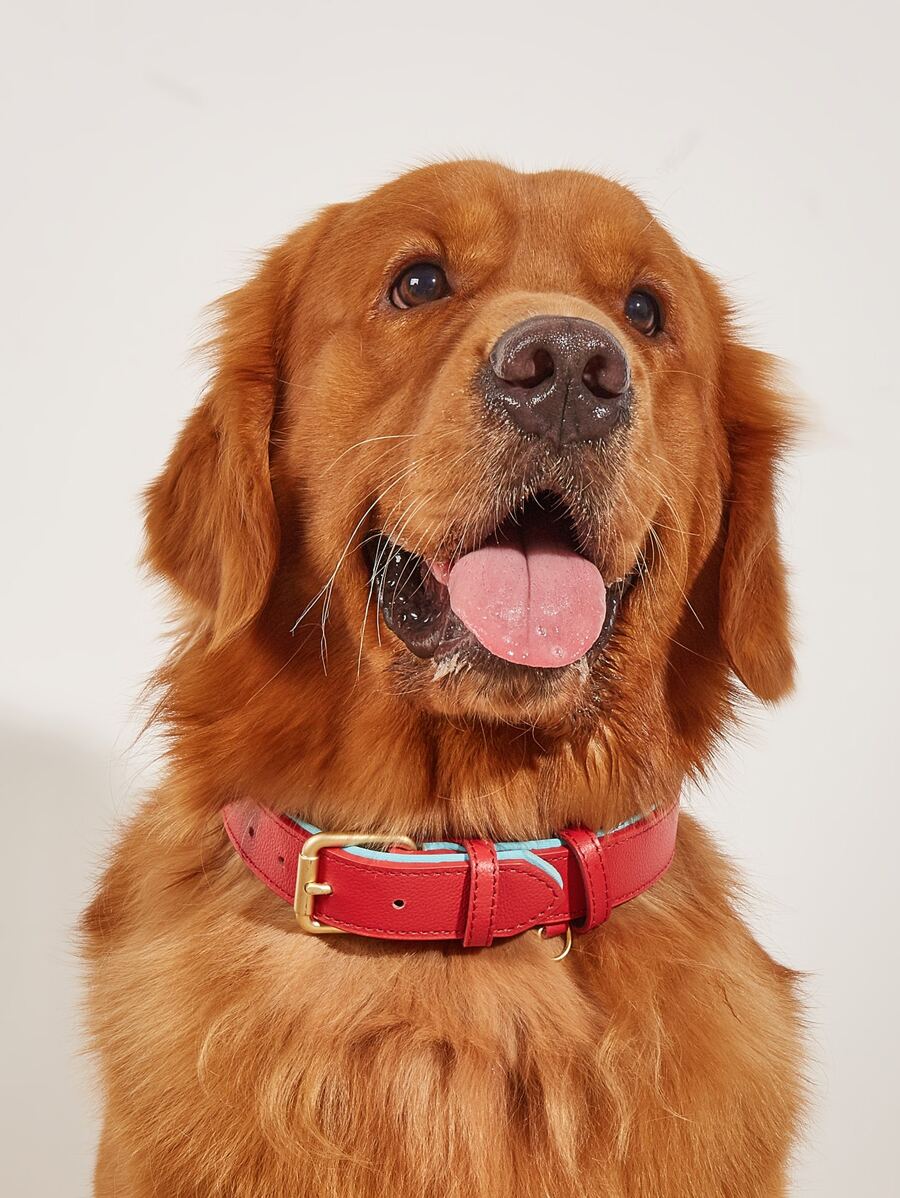 1 Stück Haustierkragen mit Litschi Muster