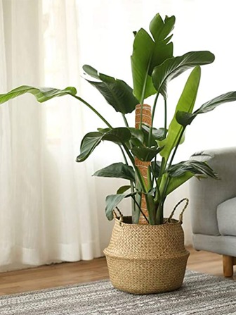 2入組木頭植物支持杆