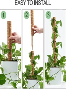 2pcs Wooden Plant Support Stake - Brown - View 4