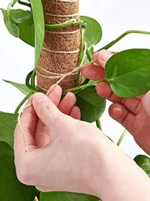 2pcs Wooden Plant Support Stake - Brown - View 5