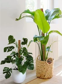 2pcs Wooden Plant Support Stake - Brown - View 6