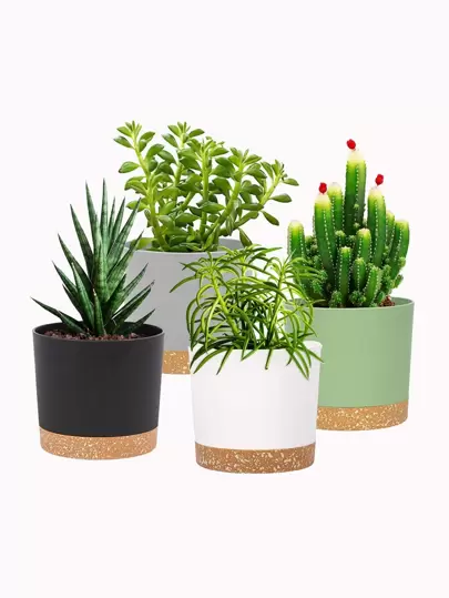 4pcs Mixed Color Plant Container, Simple Plastic Outdoor Indoor Garden Planter For Household