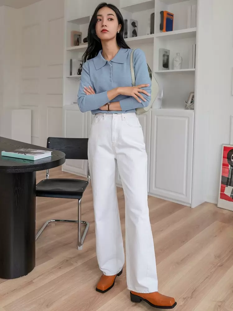 DAZY 女士纯色 Polo 领长袖商务休闲毛衣，秋冬，长袖上衣，返校服装，秋季女装 - 淺藍色 - 查看 4