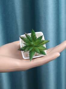 1 cây cảnh mọng nước phong cách ngẫu nhiên, đồ trang trí Giáng sinh, quà tặng Giáng sinh, đồ trang trí nhà cửa, đồ trang trí Halloween, đồ trang trí Giáng sinh, đồ trang trí nhà bếp - Nhiều màu - Xem 3