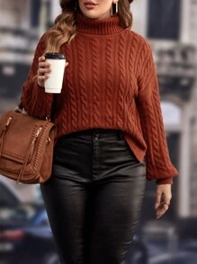 SHEIN LUNE Plus Turtleneck Cable Knit Drop Shoulder Jumper - Rust Brown - View 5