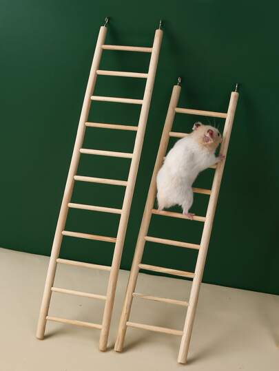 1pc Ladder Design Hamster Training Toy