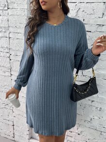 SHEIN LUNE Plus Solid Ribbed Knit Dress - Dusty Blue - View 1