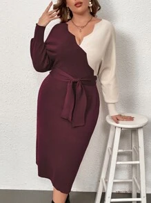 Modelyn Plus Two Tone Batwing Sleeve Belted Jumper Dress - Maroon - View 3