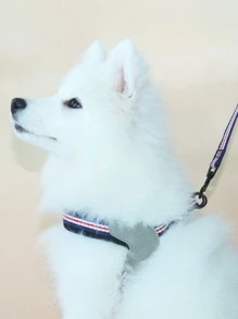 Supet 1件套條紋印花寵物牽引繩和背帶 - 彩色 - 查看 2