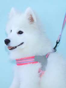 Supet 1set Striped Print Pet Leash & Harness - Hot Pink - View 6