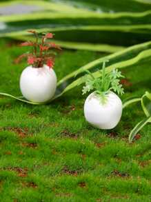 4入組植物設計園林裝飾擺件