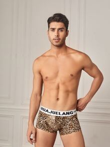 Men Leopard & Letter Graphic Boxer Brief - Multicolor - View 5