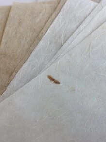 30 cái Giấy Thủ Công Trang Trí Màu Hỗn Hợp - Nhiều màu - Xem 3